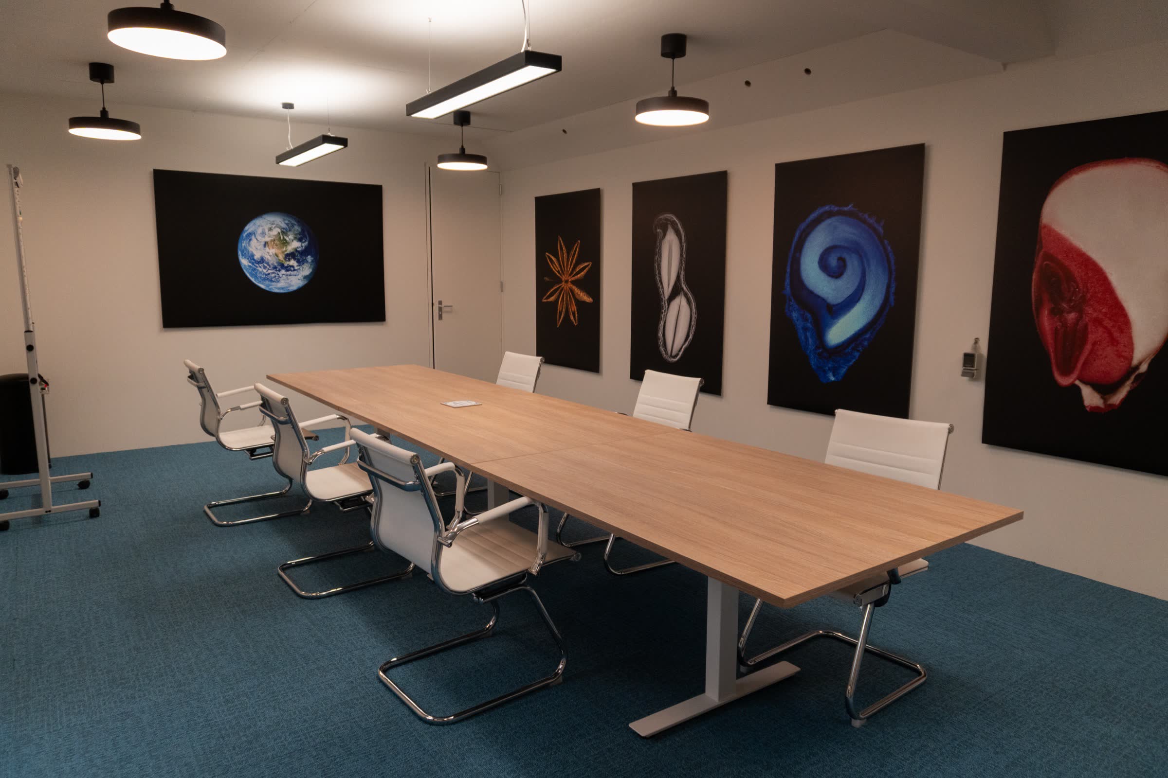 Gravity Gardens meeting room with botanical artwork