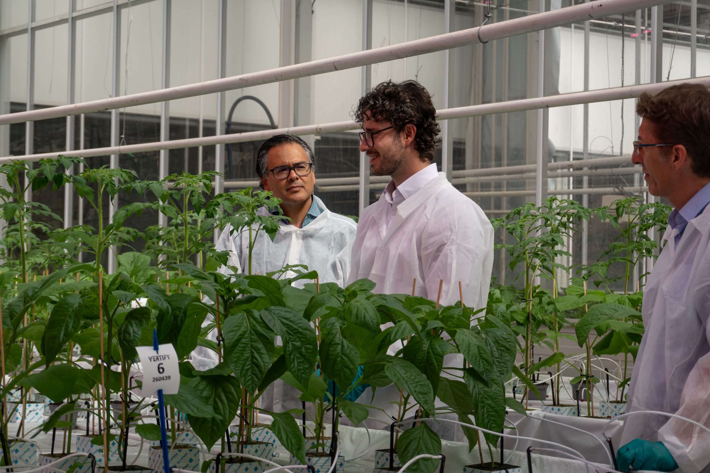 Gravity Gardens team reviewing crops together in the greenhouse