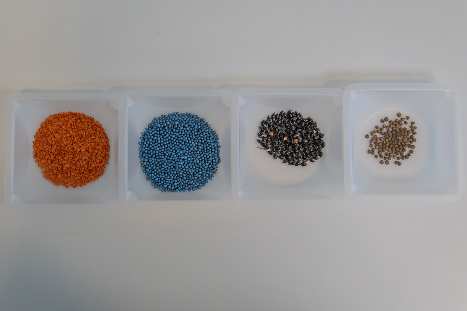 Seed samples at the Nijmegen facility.